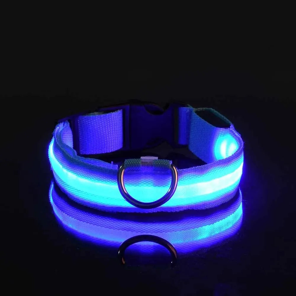 Glow-in-the-Dark Safety Leash