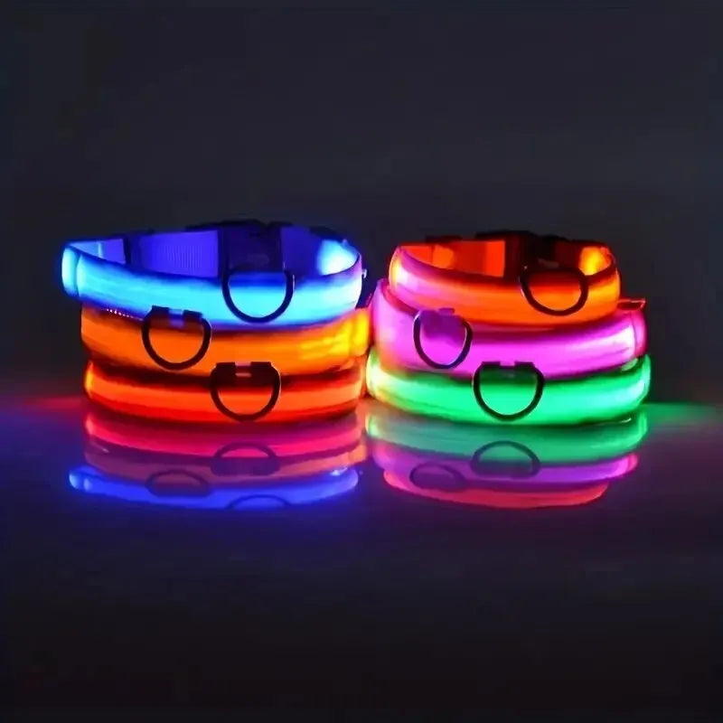 Glow-in-the-Dark Safety Leash