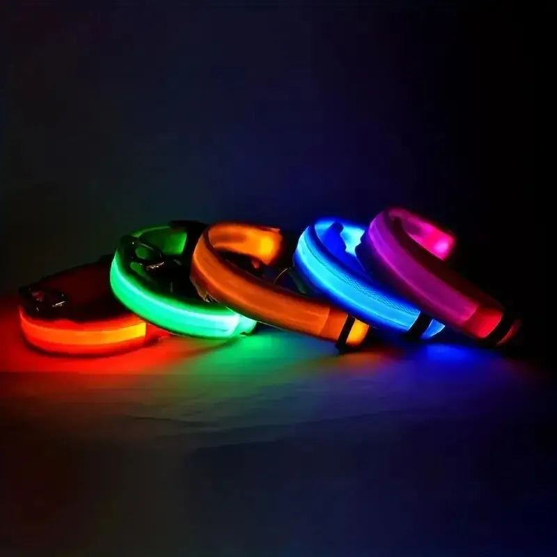Glow-in-the-Dark Safety Leash