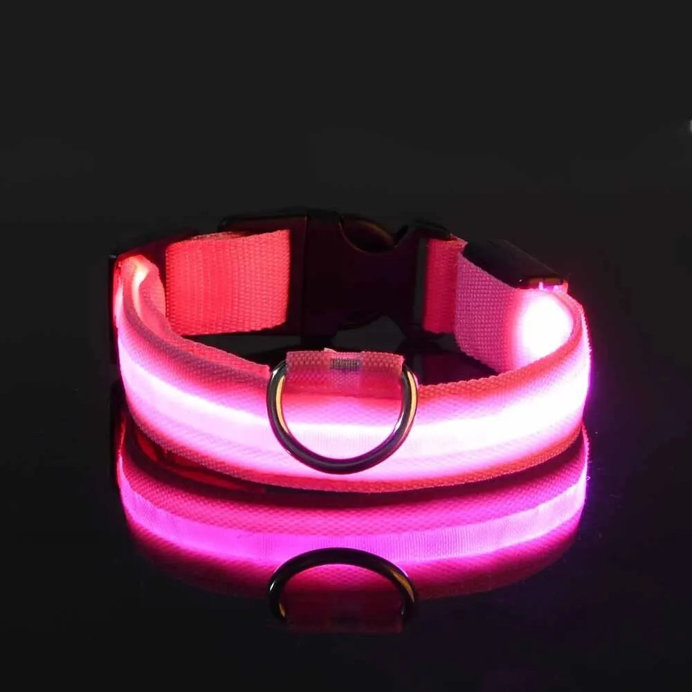 Glow-in-the-Dark Safety Leash