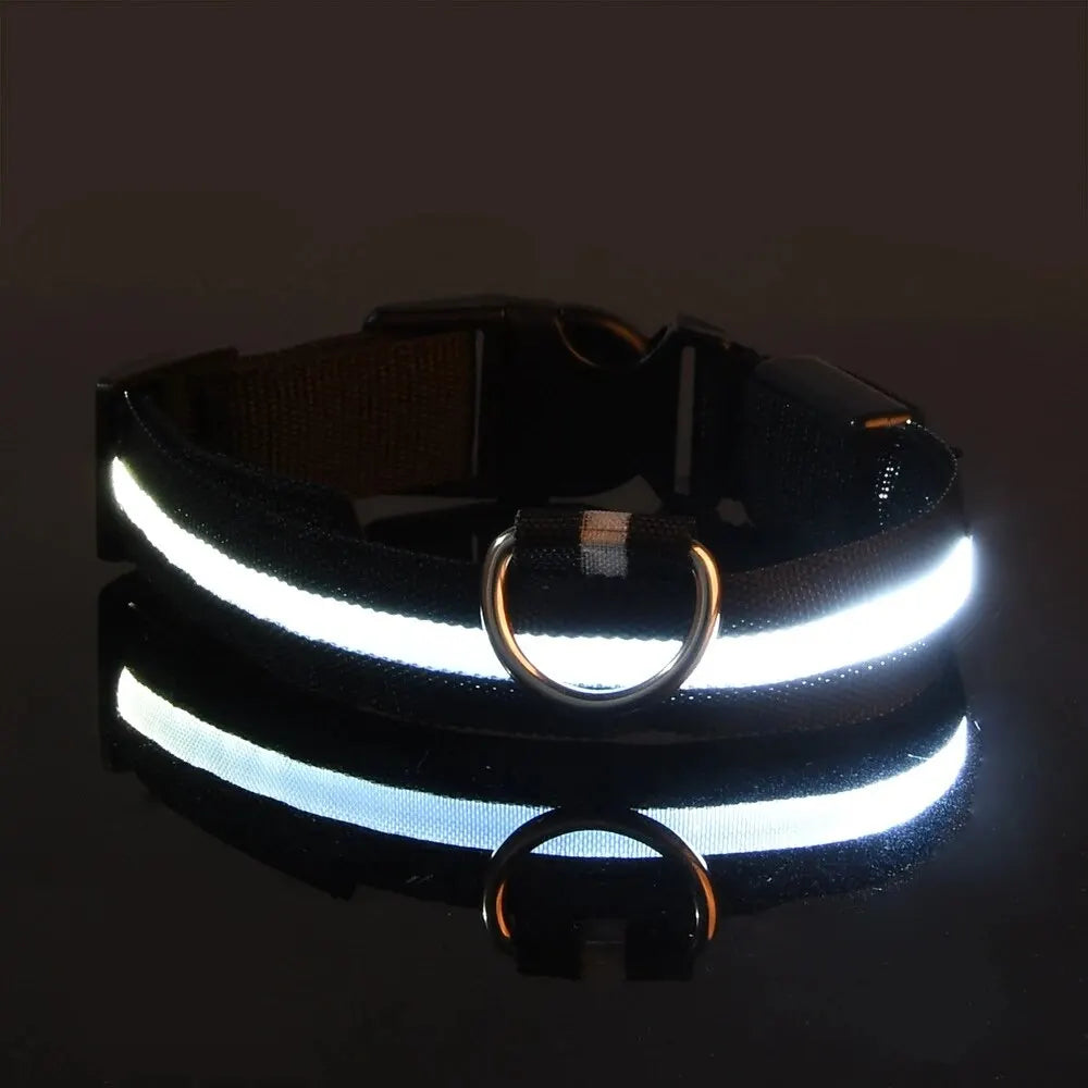 Glow-in-the-Dark Safety Leash
