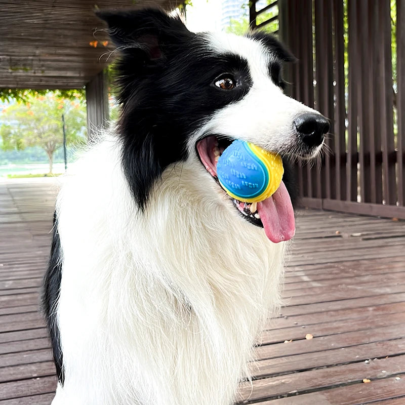 PlayBite™ Squeaky Dog Ball