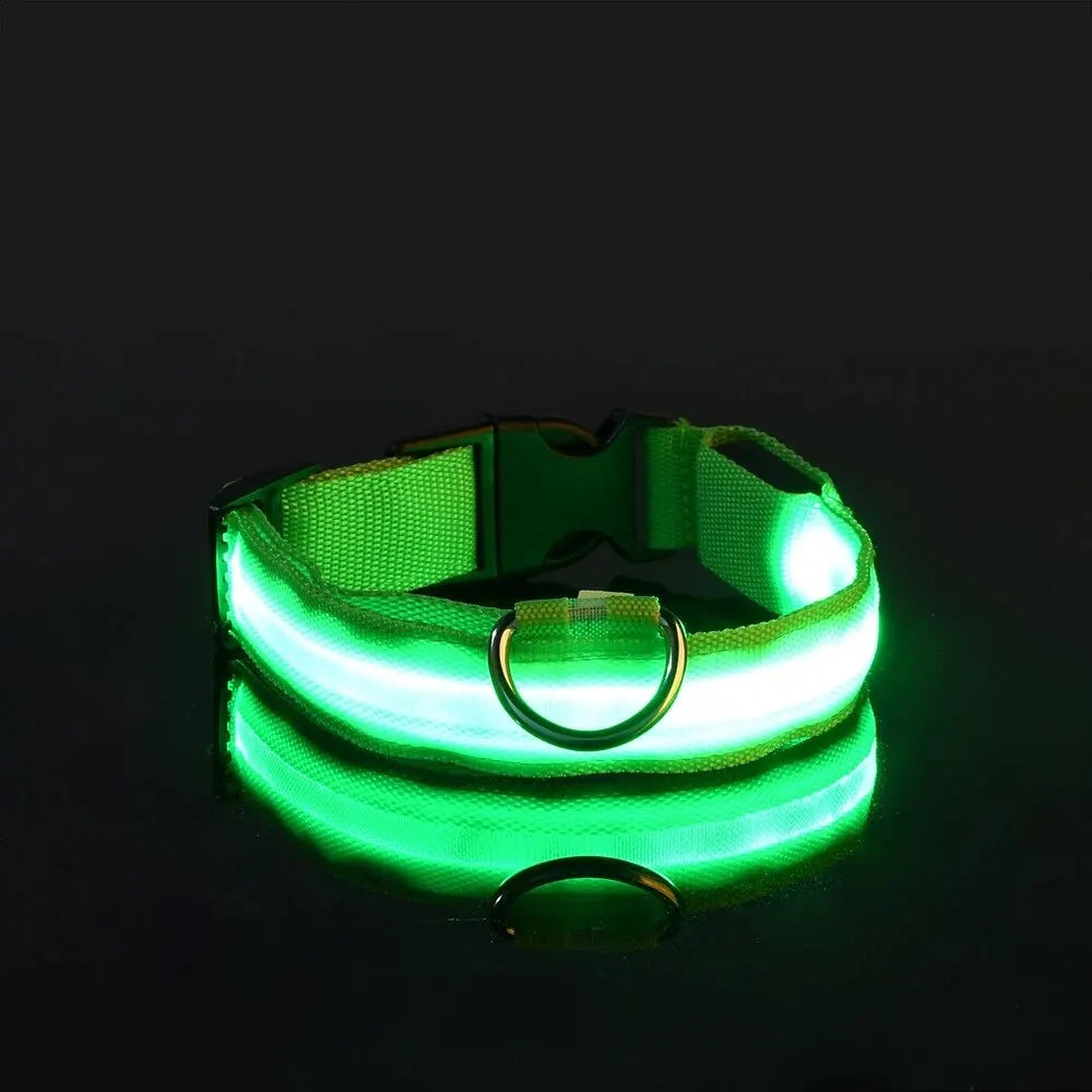 Glow-in-the-Dark Safety Leash
