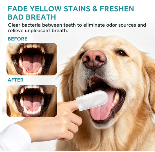 FreshPaws™ Dental Finger Wipes