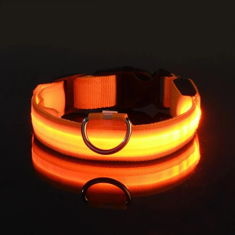 Glow-in-the-Dark Safety Leash