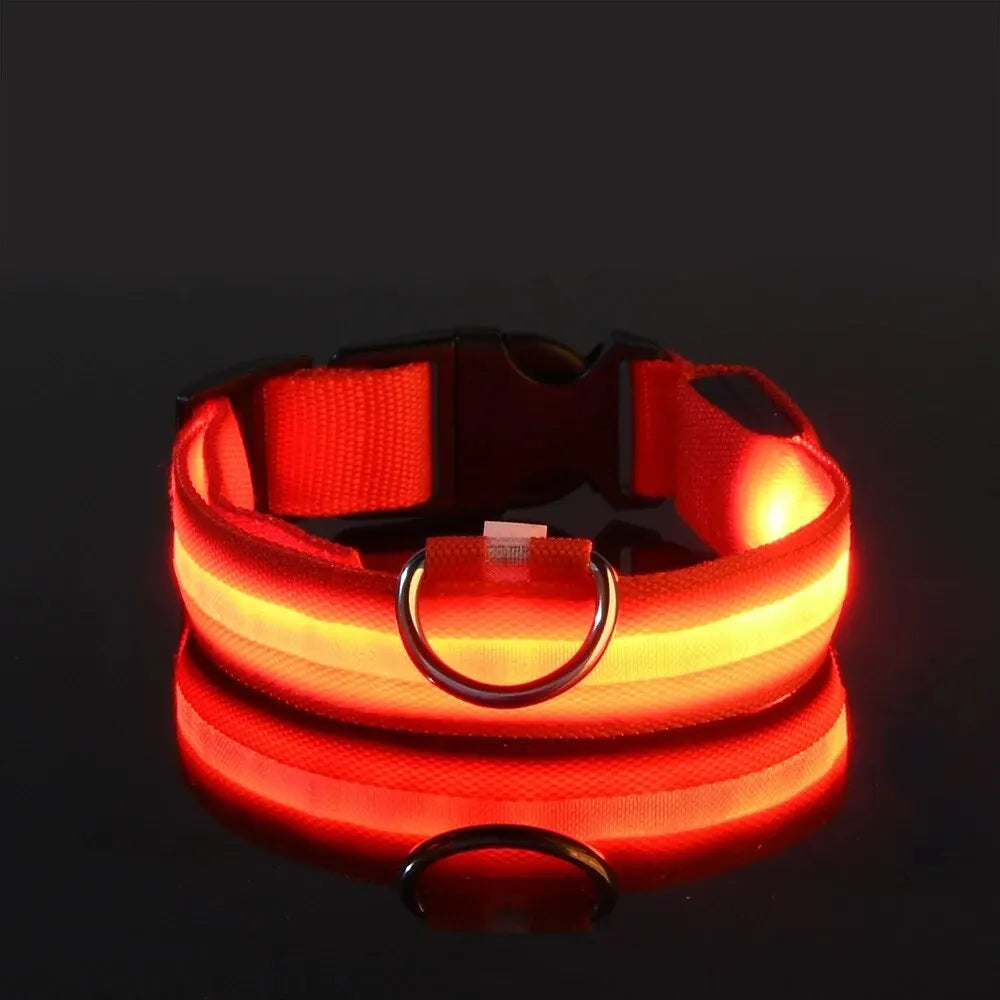 Glow-in-the-Dark Safety Leash