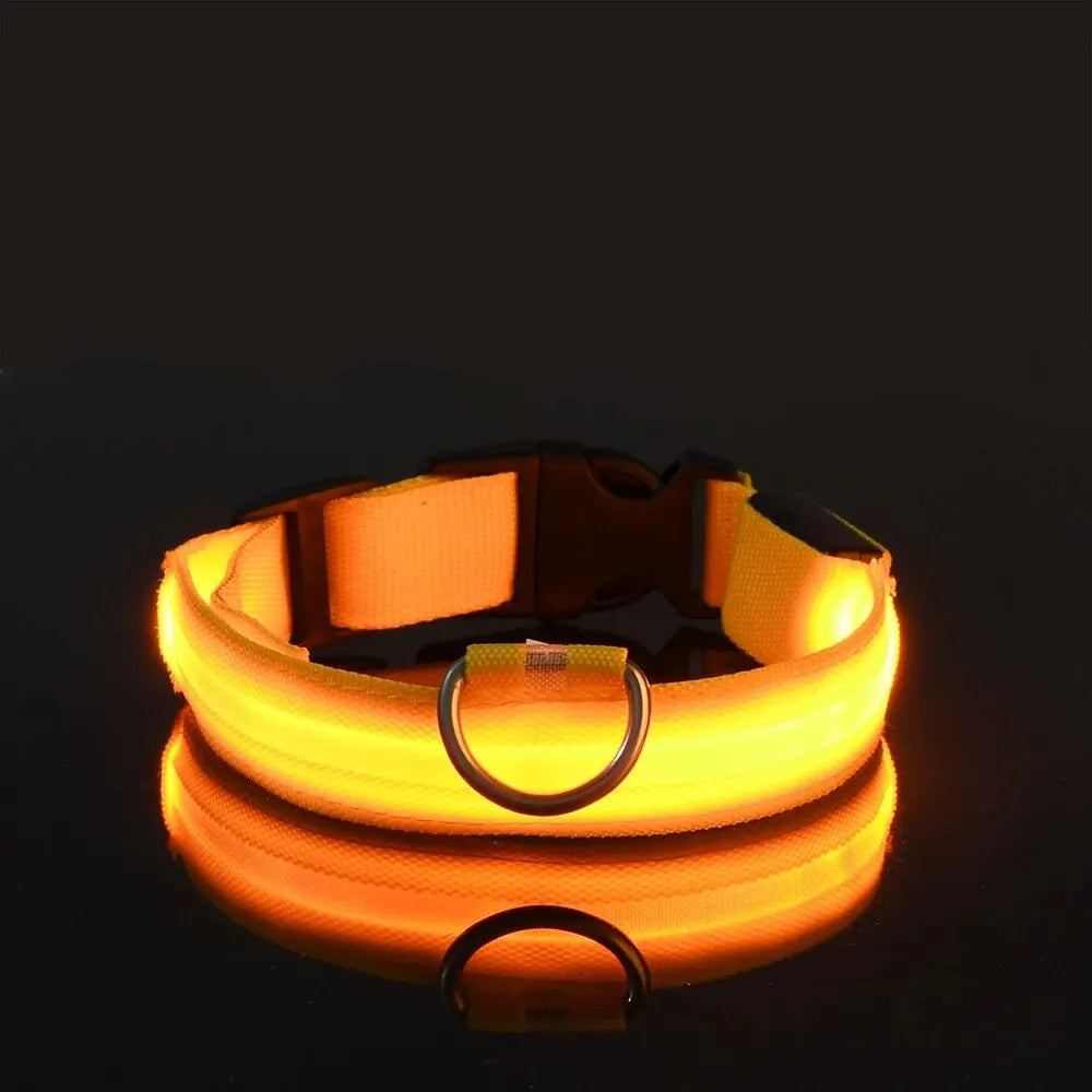 Glow-in-the-Dark Safety Leash