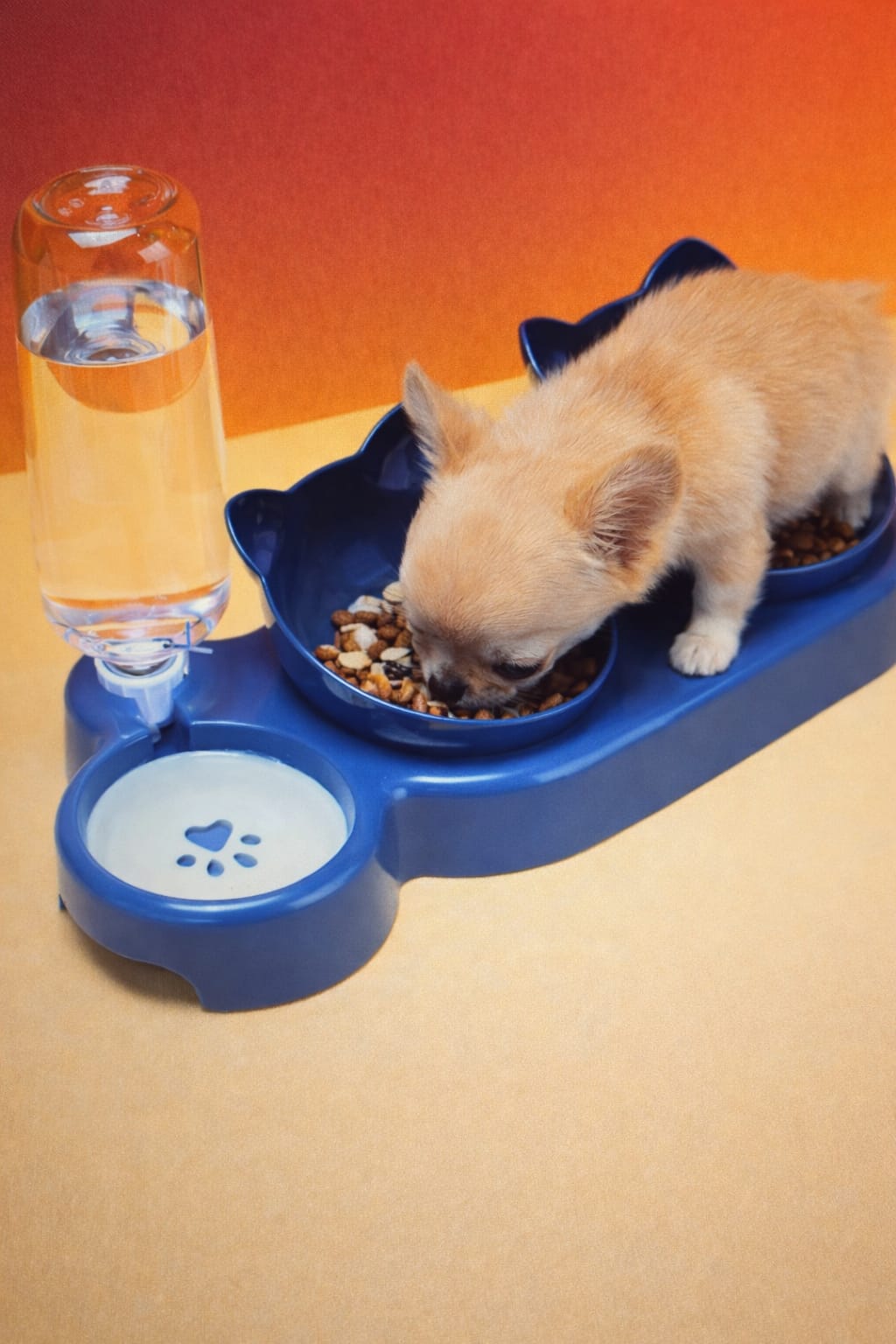 3-in-1 Tilted Cat Bowl Set Food & Water Bowls with Gravity Feeder