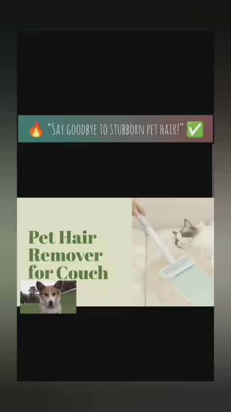 Fur-Be-Gone Pet Hair Brush Clean in Seconds